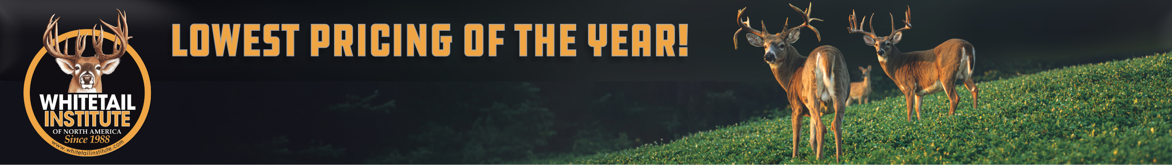 Whitetail Institute Q4 2026 Promotion