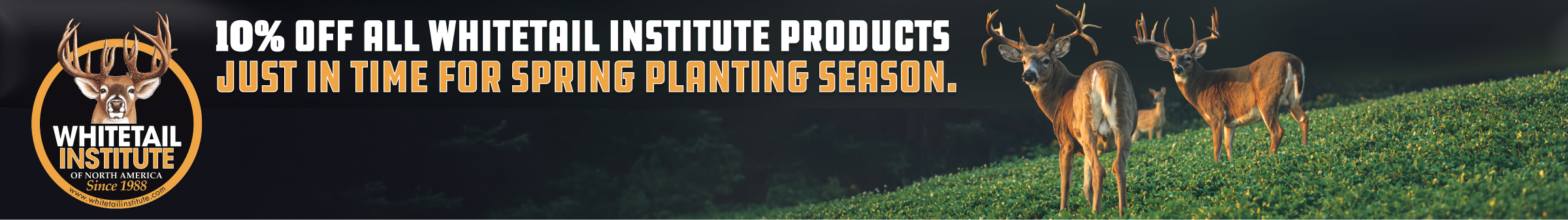 Whitetail Q1 Promotion
