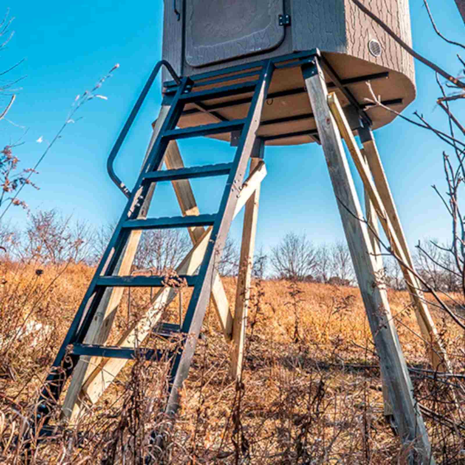 Banks Outdoors Ladder